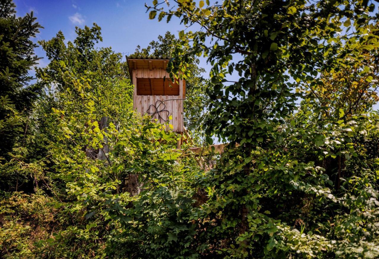 Pfaenderglueck Villa Lochau Kültér fotó